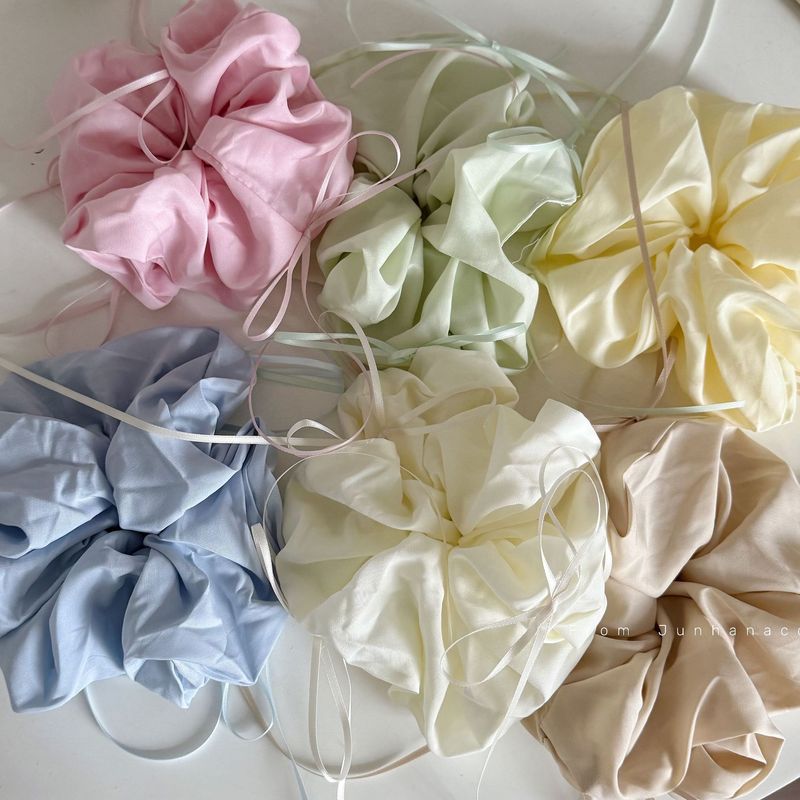 1pc Ballet style ribbon bow la - Travel Accessories Bunnings のレビューと価格