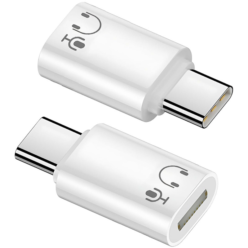 Lightning Female To Type C Aud - Travel Plug Type C のレビューと価格